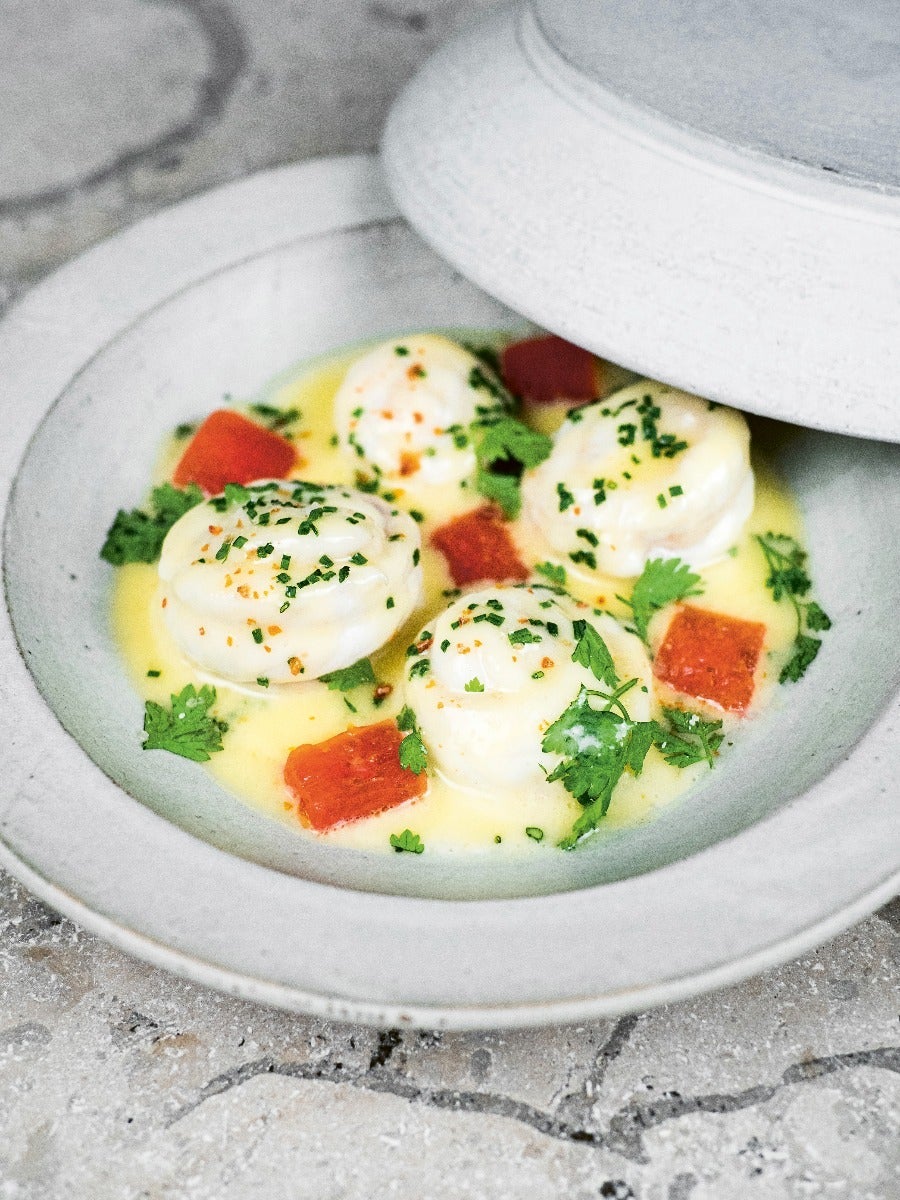 Hellstrøms hemmeligheter fra havet