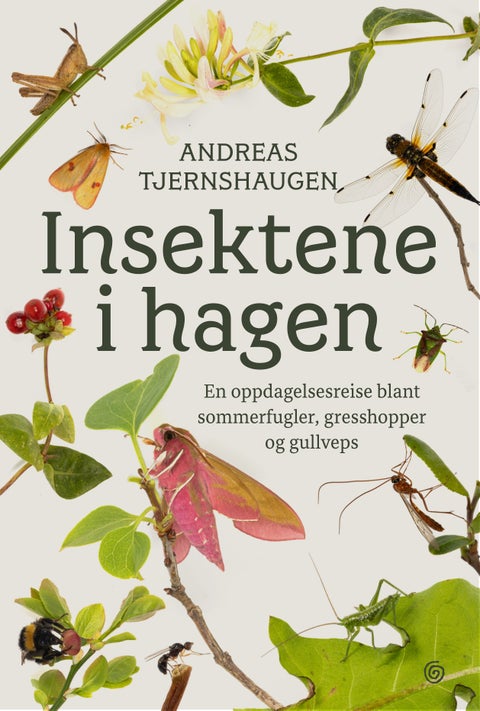 Insektene i hagen - en oppdagelsesreise blant sommerfugler, gresshopper og gullveps