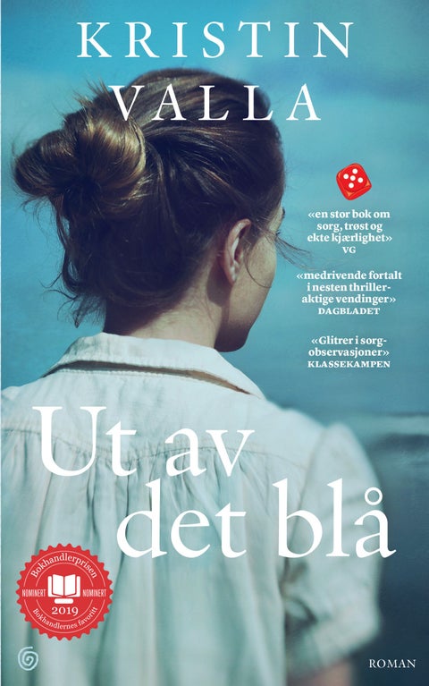 Ut av det blå - roman