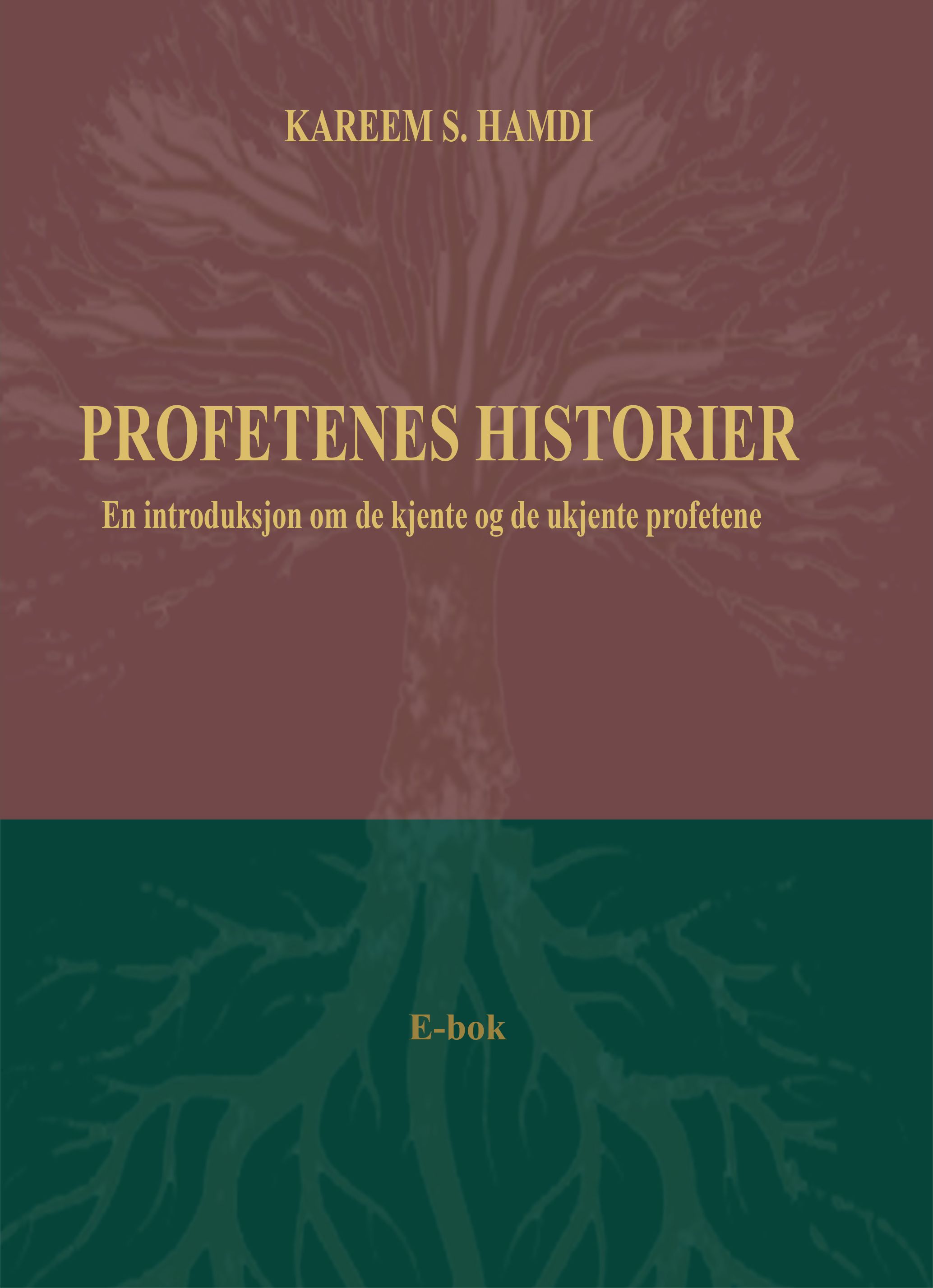Profetenes historier - en introduksjon om de kjente og de ukjente profetene