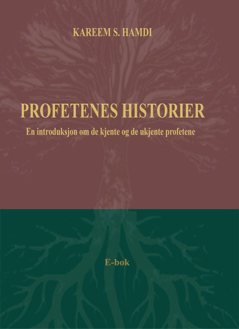 Profetenes historier - en introduksjon om de kjente og de ukjente profetene