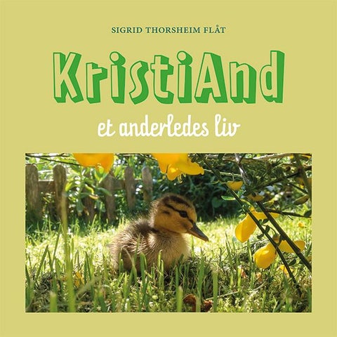 KristiAnd - et anderledes liv