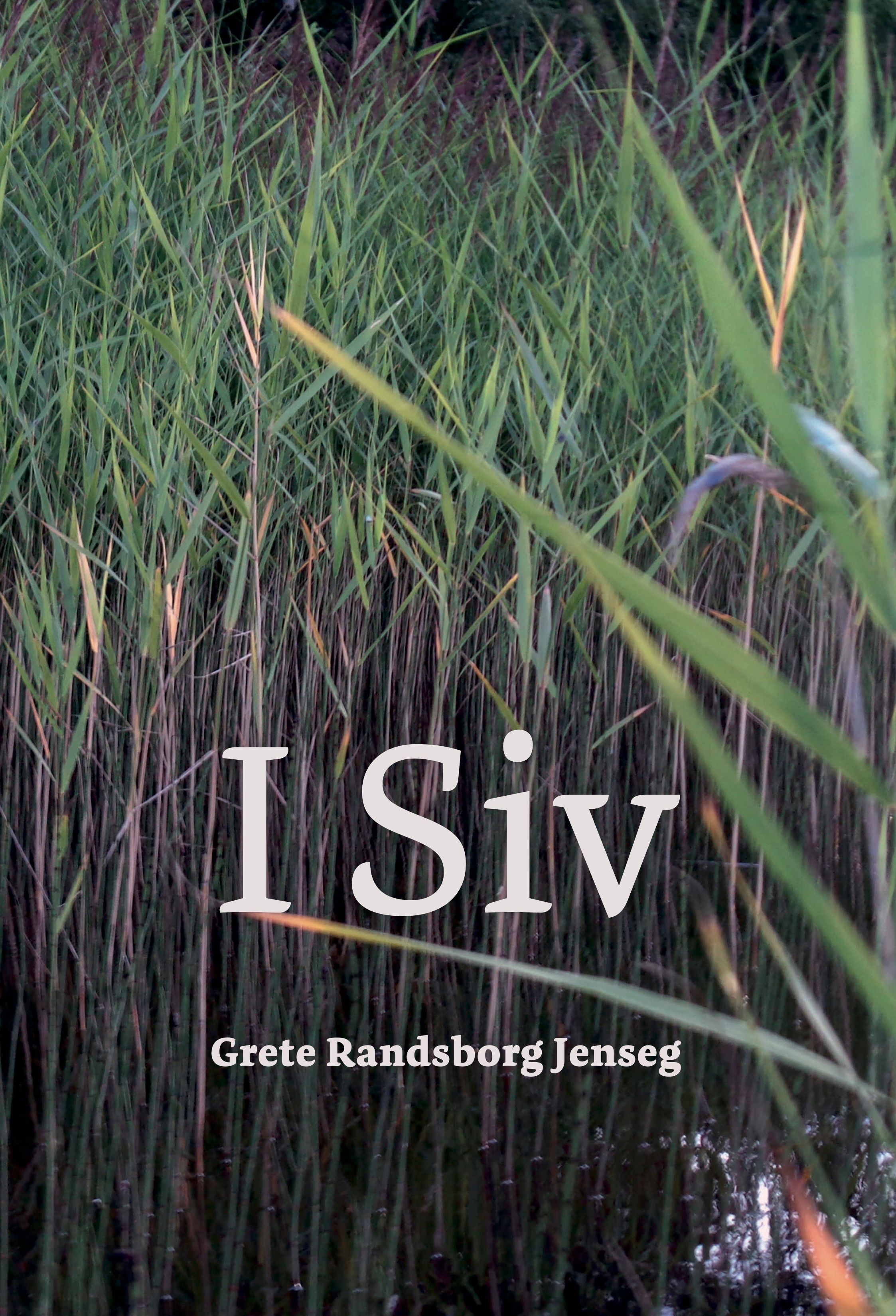 I siv - novellesamling