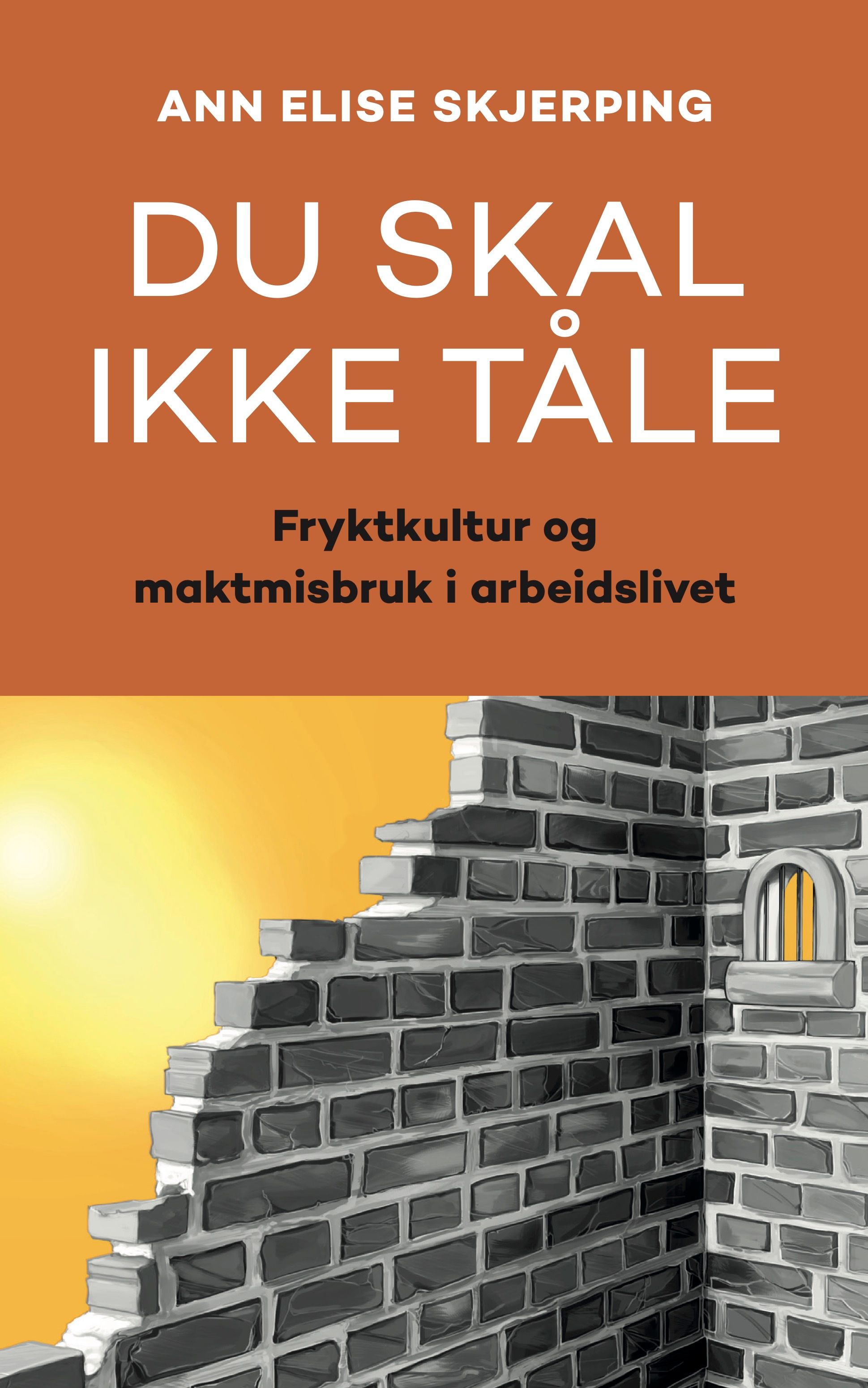 Du skal ikke tåle - fryktkultur og maktmisbruk i arbeidslivet