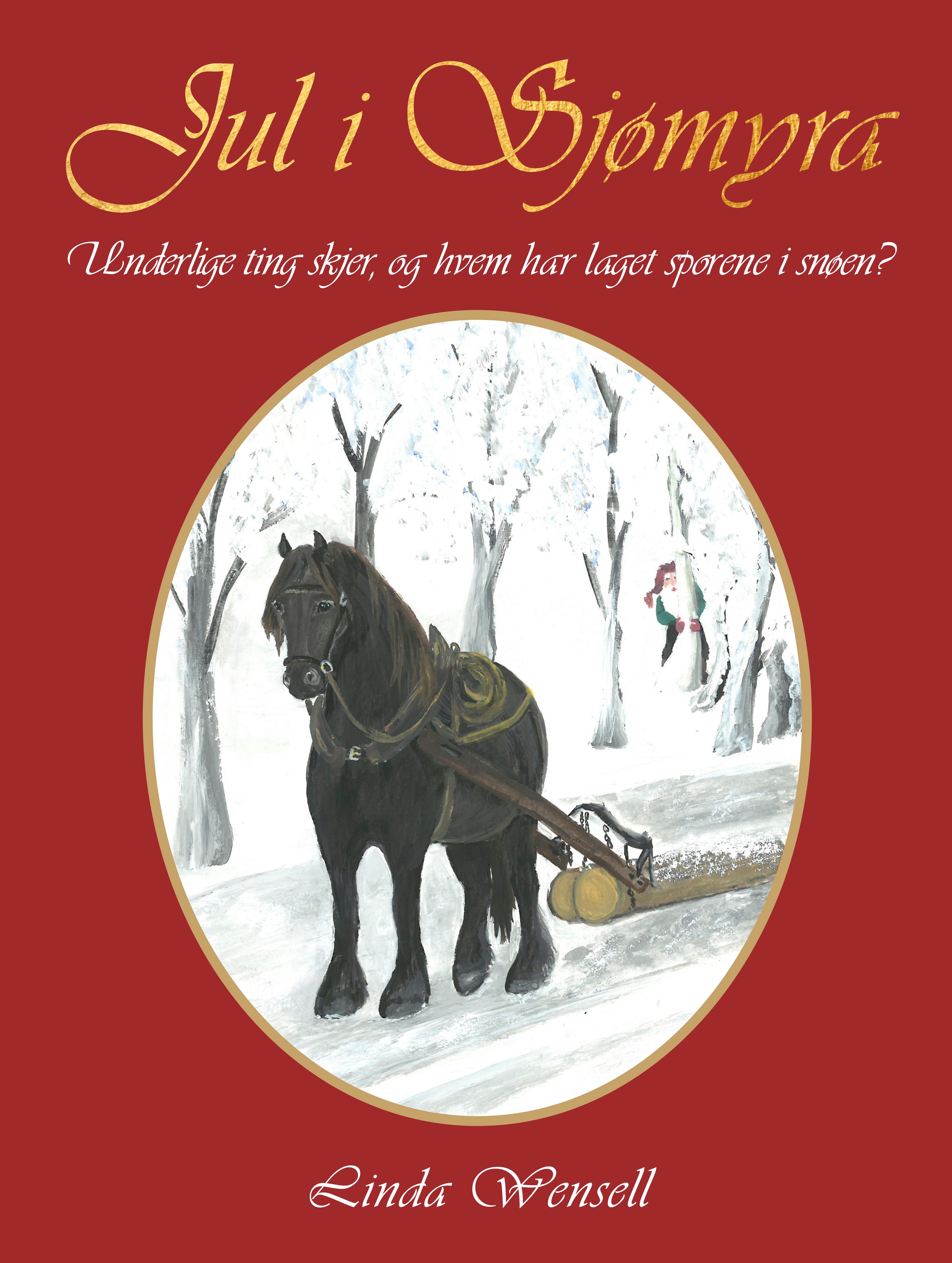 Jul i Sjømyra - underlige ting skjer, og hvem har laget sporene i snøen? : julekalender