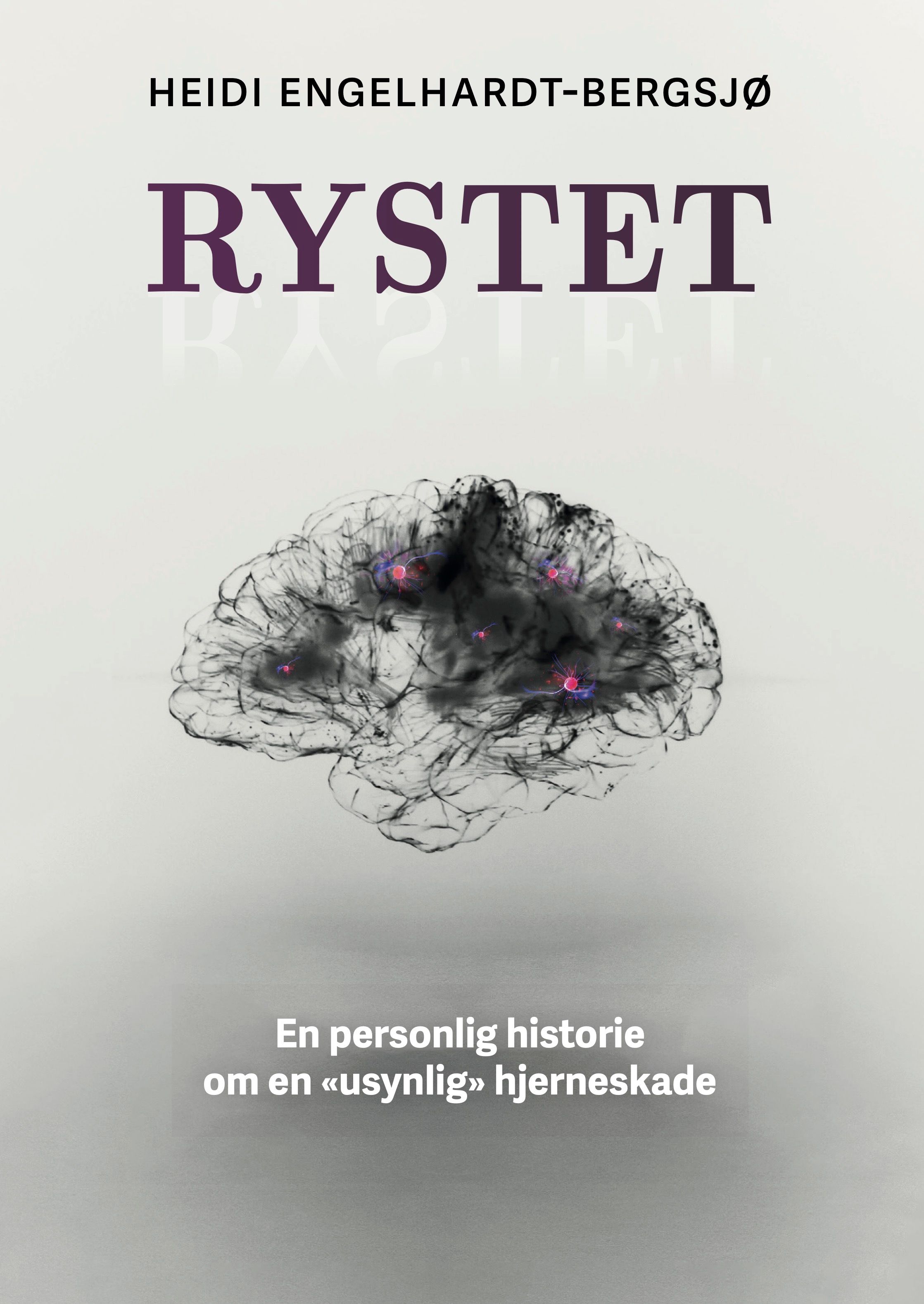 Rystet - en personlig historie om en "usynlig" hjerneskade