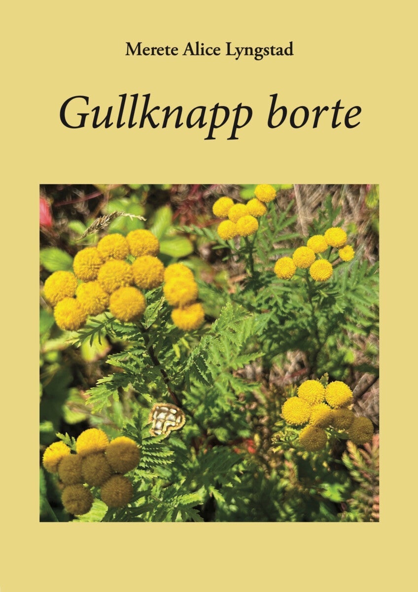 Gullknapp borte
