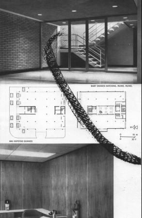 Baby Snakes Hatching. Ruins. Ruins. - ruins, ruins