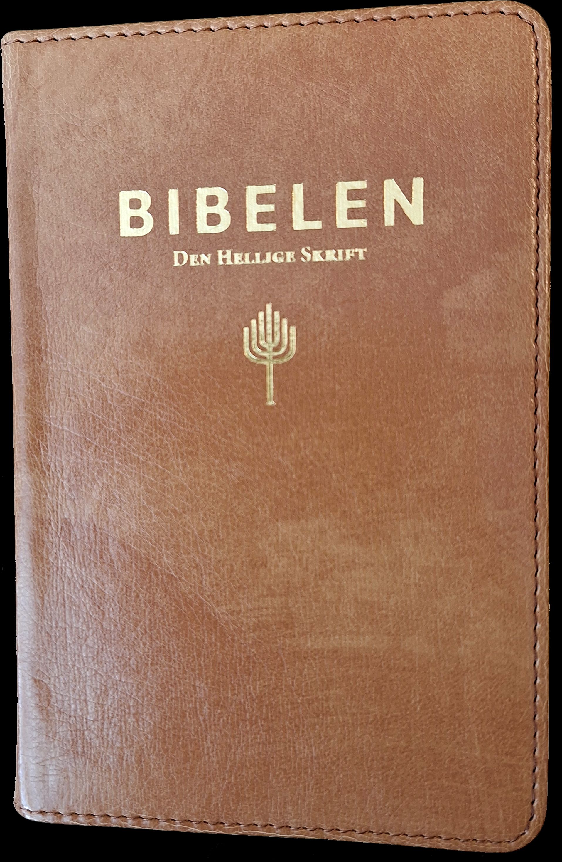 Bibelen - Den hellige skrift : Det gamle og Det nye testamentes kanoniske bøker