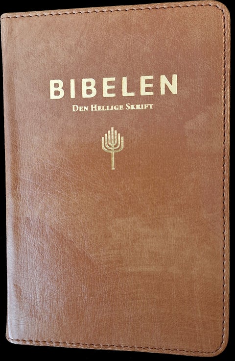 Bibelen - Den hellige skrift : Det gamle og Det nye testamentes kanoniske bøker