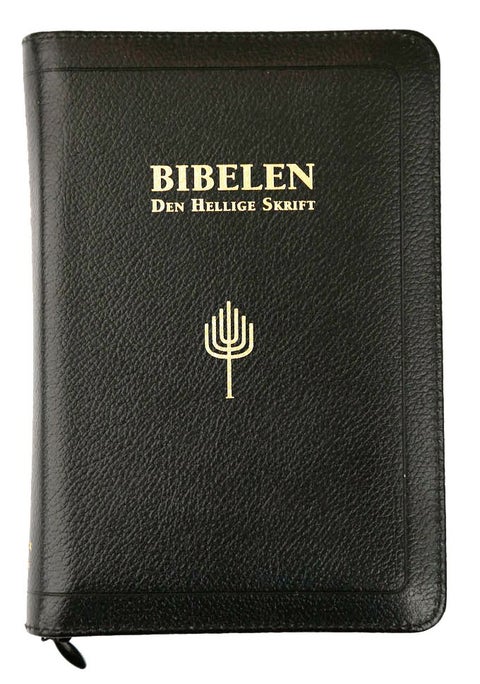 Bibelen - Den hellige skrift : Det gamle og Det nye testamentes kanoniske bøker