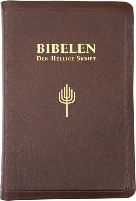 Bibelen - Den hellige skrift : Det gamle og Det nye testamentes kanoniske bøker