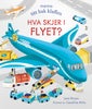 Hva skjer i flyet?