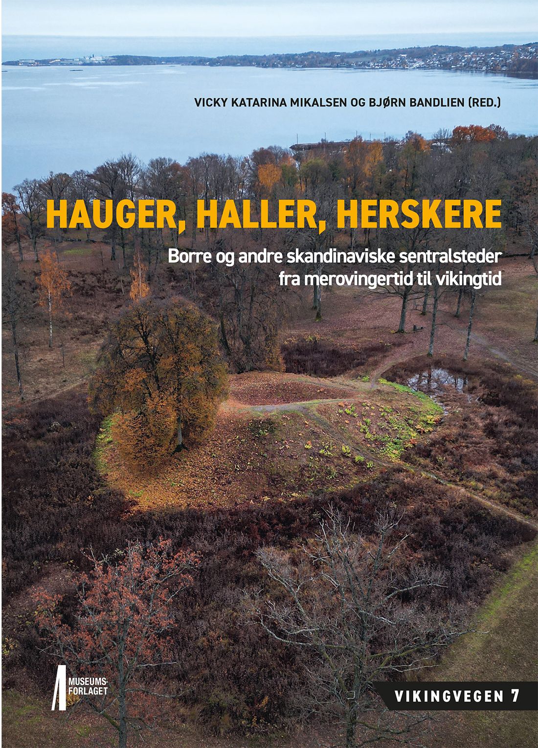 Hauger, haller, herskere - Borre og andre skandinaviske sentralsteder fra mer