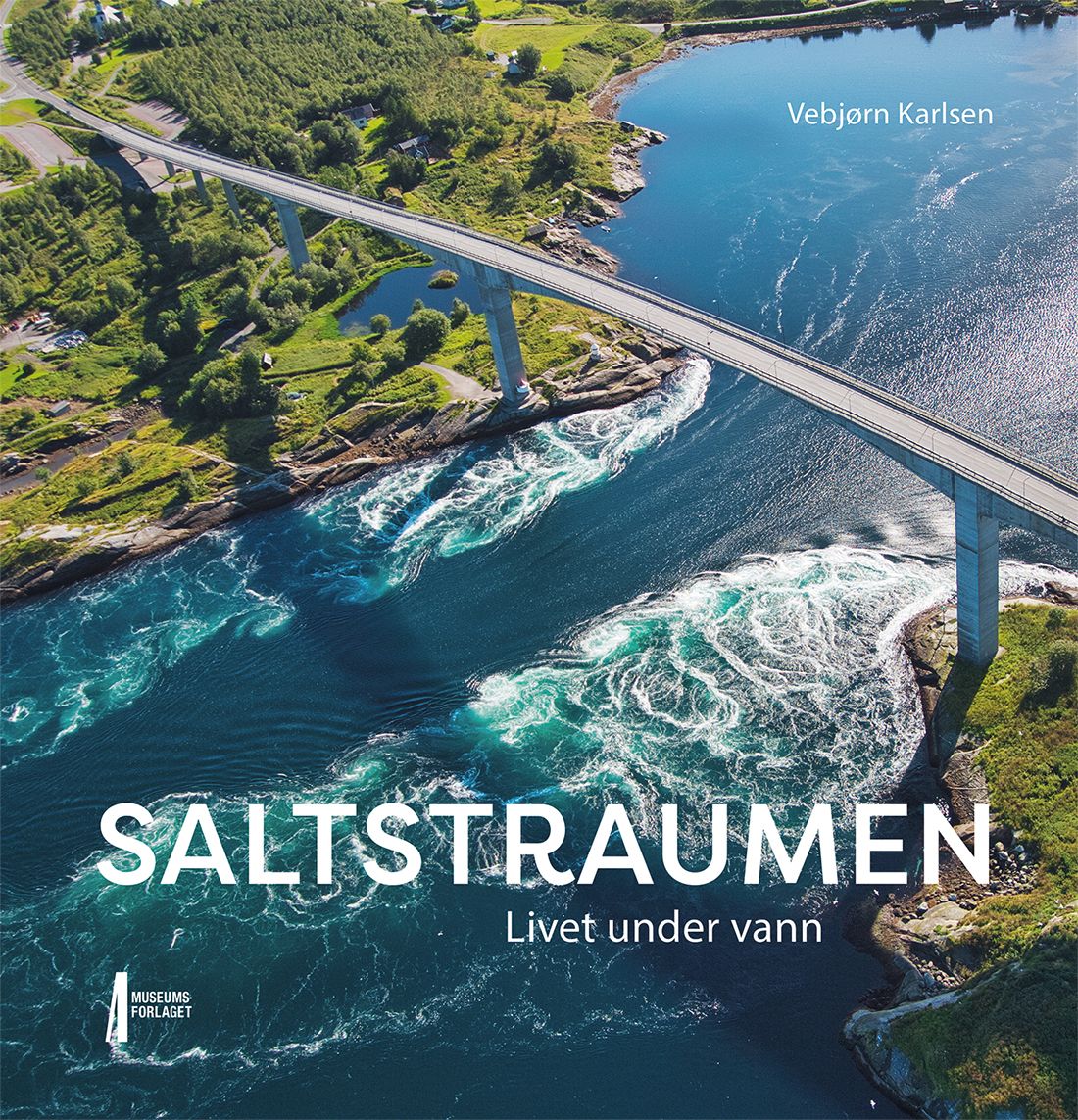 Saltstraumen - livet under vann