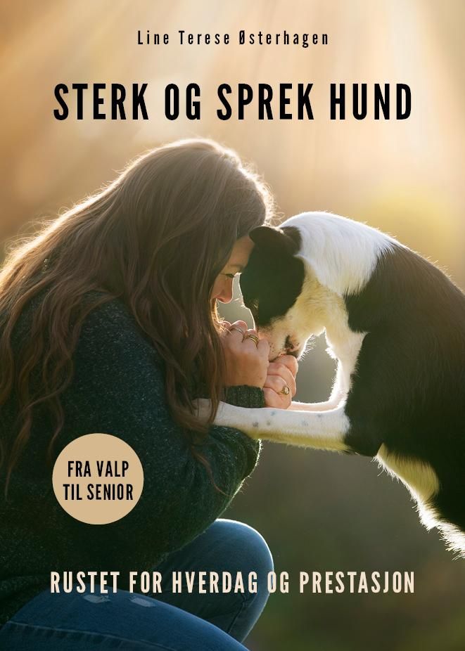 Sterk og sprek hund - rustet for hverdag og prestasjon