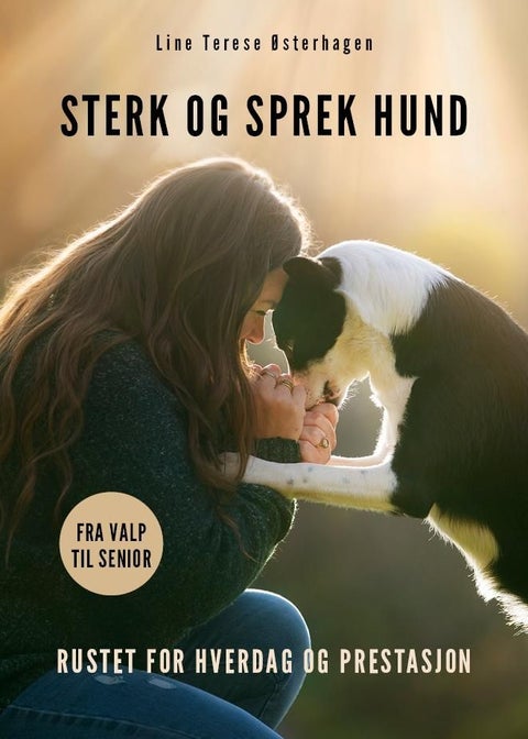 Sterk og sprek hund - rustet for hverdag og prestasjon
