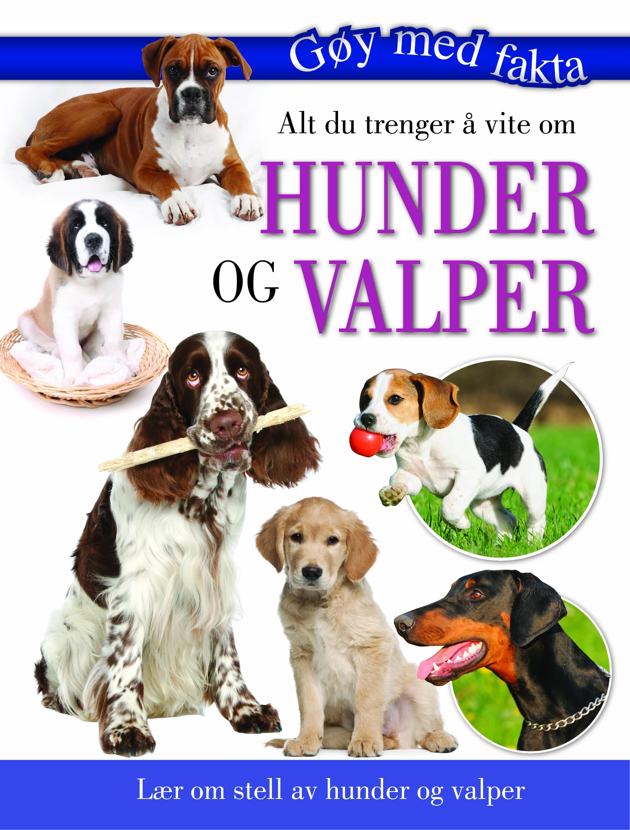 Alt du trenger å vite om hunder og valper - lær om stell av hunder og valper