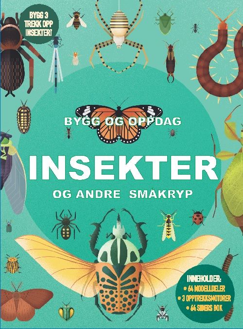 Bygg og oppdag - innsekter og andre småkryp