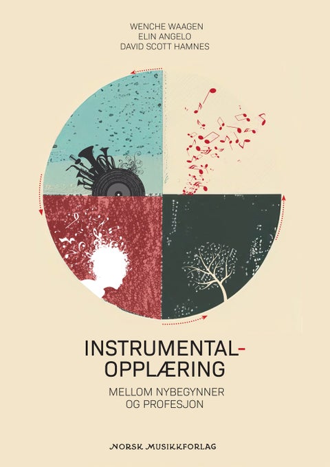 Instrumentalopplæring - mellom nybegynner og profesjon