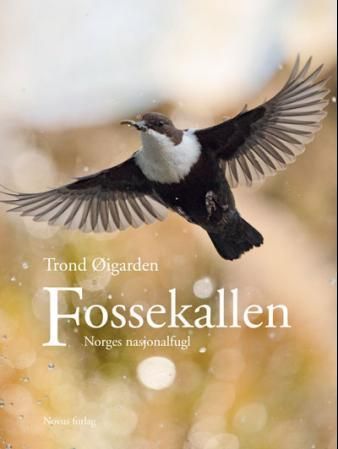 Fossekallen - Norges nasjonalfugl
