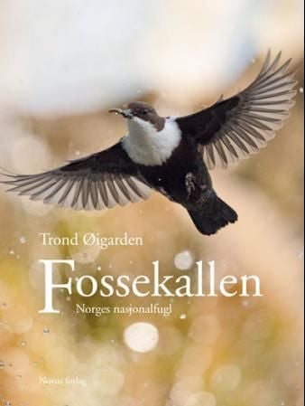 Fossekallen - Norges nasjonalfugl