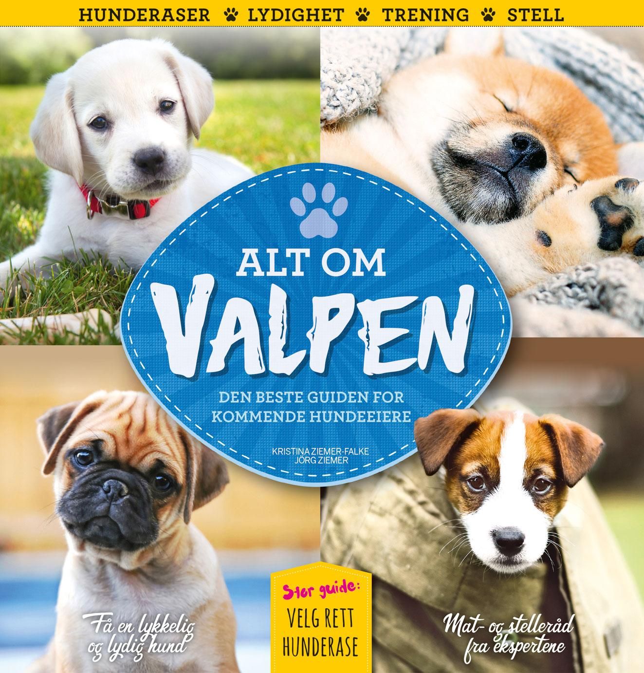 Alt om valpen - den beste guiden for kommende hundeeiere