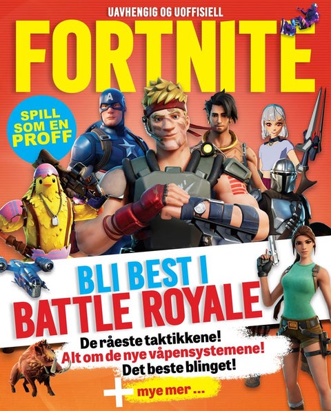 Fortnite - blli best i Batte Royale