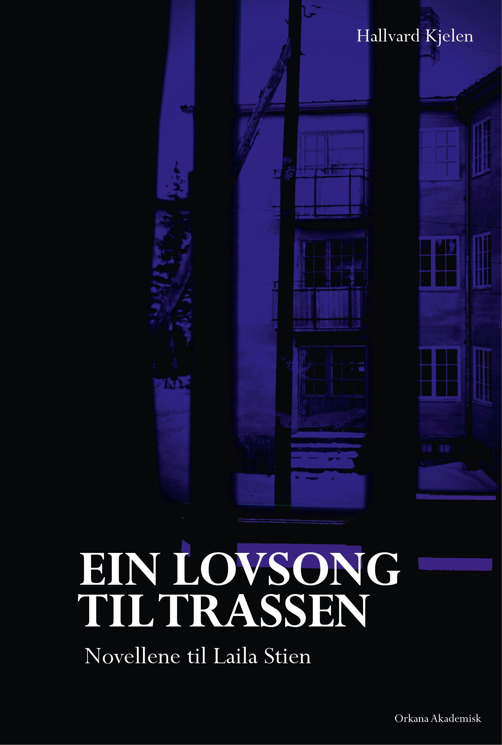 Ein lovsong til trassen - novellene til Laila Stien