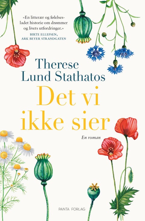 Det vi ikke sier - en roman