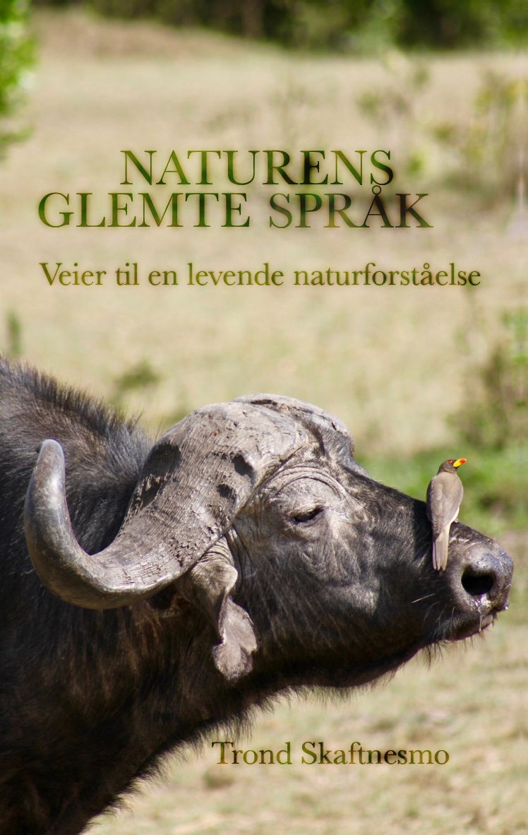 Naturens glemte språk - veier til en levende naturforståelse