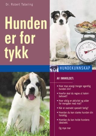 Hunden er for tykk - slik blir den slank, slik kommer den i form