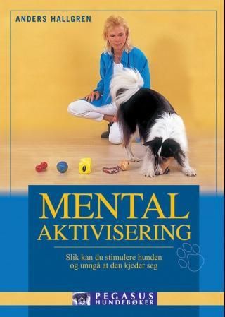 Mental aktivisering - slik kan du stimulere hunden og unngå at den kjeder seg
