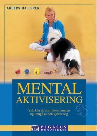 Mental aktivisering - slik kan du stimulere hunden og unngå at den kjeder seg