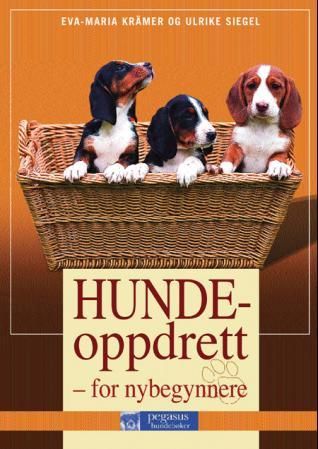 Hundeoppdrett - for nybegynnere