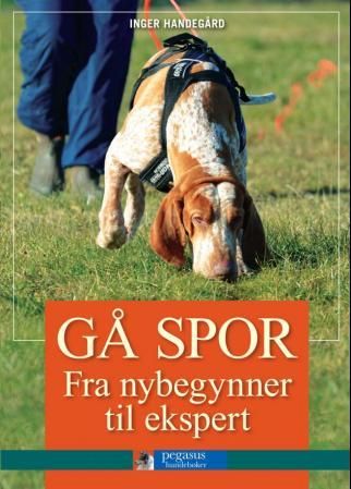 Gå spor - fra nybegynner til ekspert
