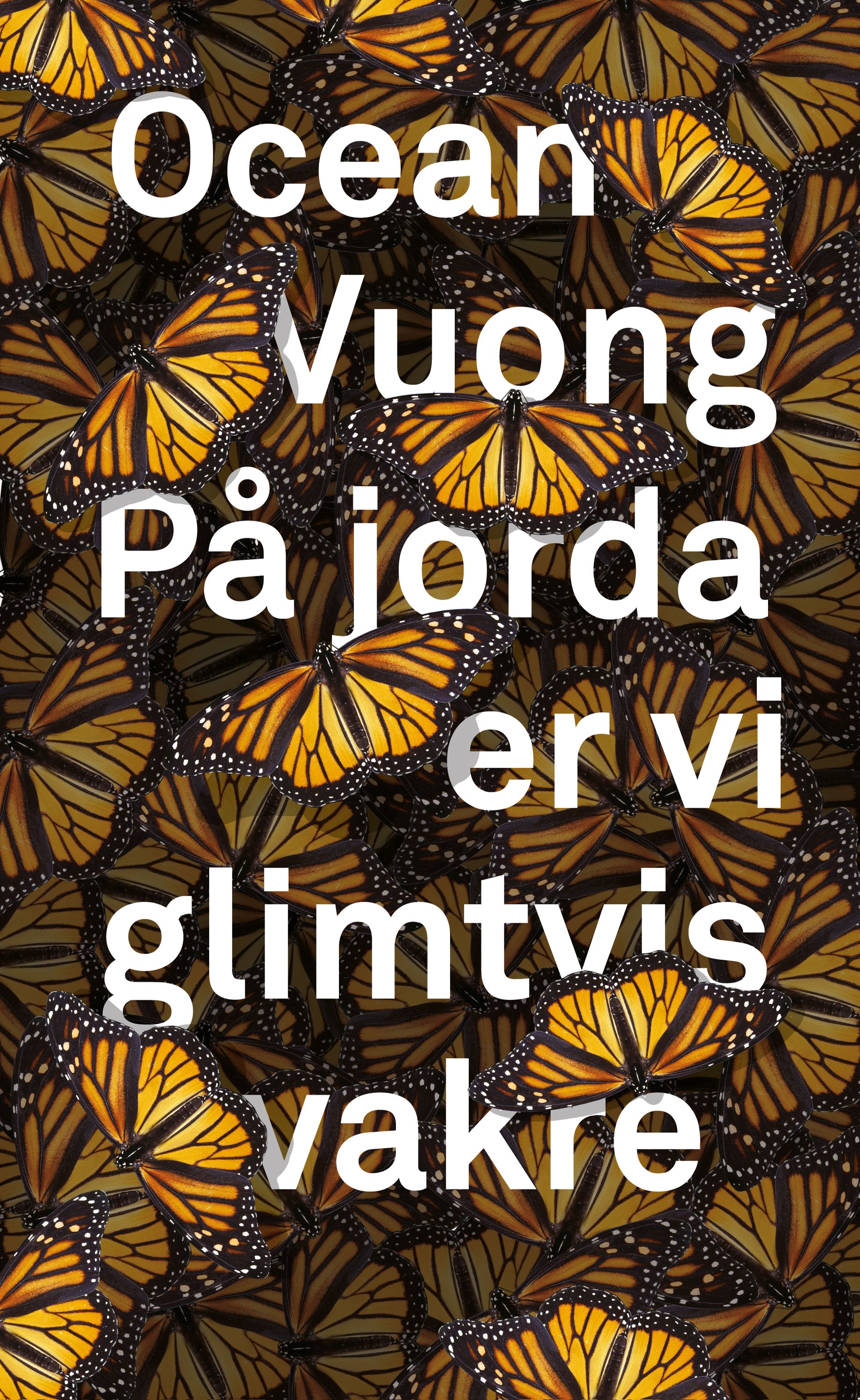 På jorda er vi glimtvis vakre - roman