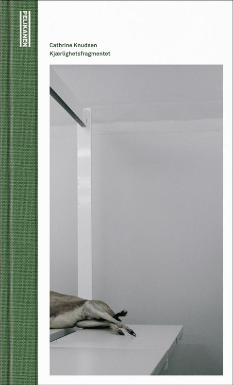 Kjærlighetsfragmentet - roman