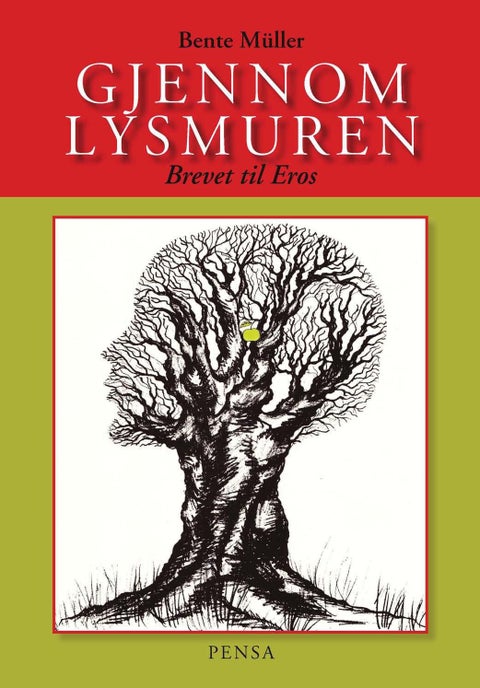 Gjennom lysmuren - brevet til Eros : et kosmogram