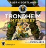 Trondheim-mysteriet