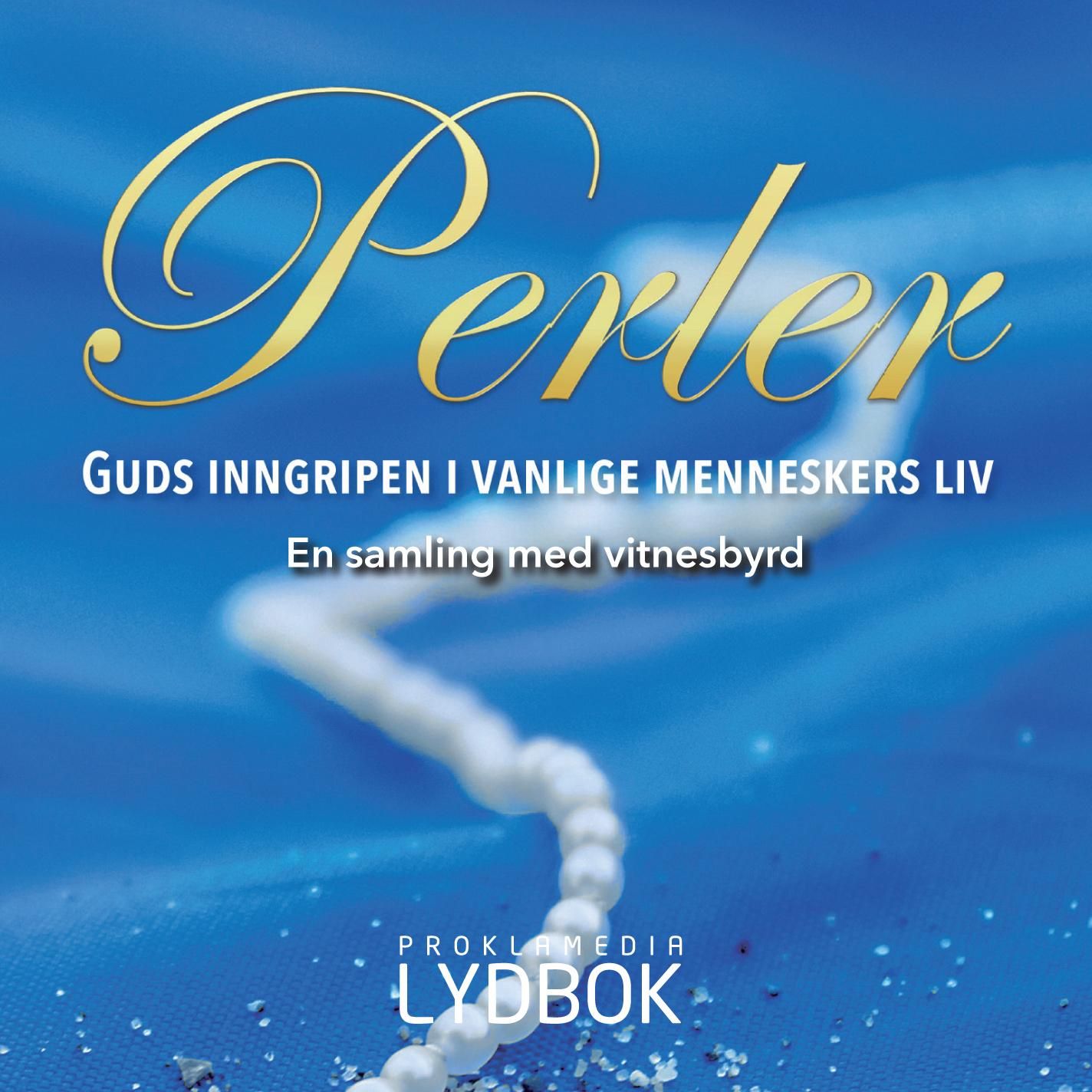 Perler - Guds inngripen i vanlige menneskers liv : en samling med vitnesbyrd