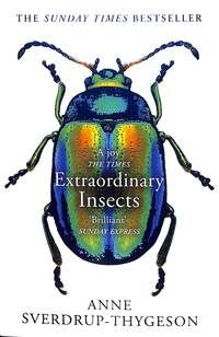 Extraordinary Insects - Weird. Wonderful. Indispensable. the Ones Who Run Our World.