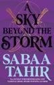 A Sky Beyond the Storm