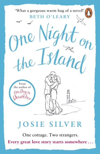 One Night on the Island - Escape to a remote island with this chemistry-filled love story