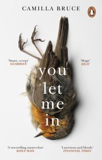 You Let Me In - The acclaimed, unsettling novel of haunted love, revenge and the nature of truth