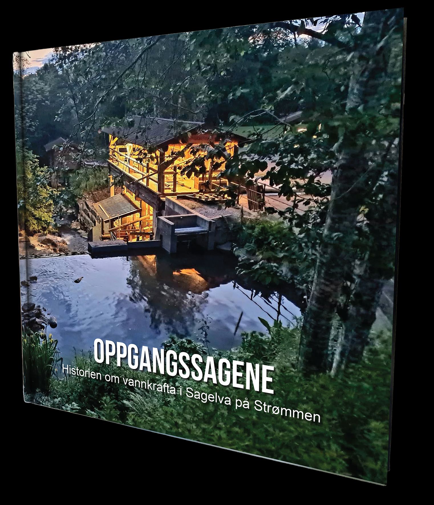 Oppgangssagene - historien om vannkrafta i Sagelva på Strømmen