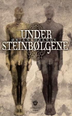 Under steinbølgene - roman