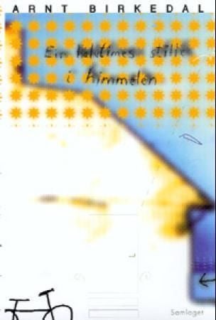 Ein halvtimes stille i himmelen - roman