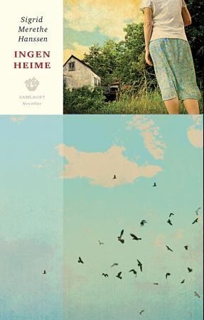 Ingen heime - noveller