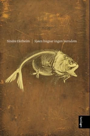 Sjøen hugsar ingen barndom - dikt